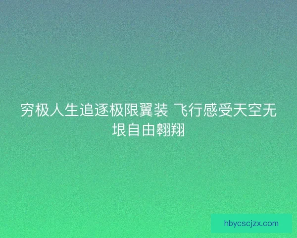 穷极人生追逐极限翼装 飞行感受天空无垠自由翱翔